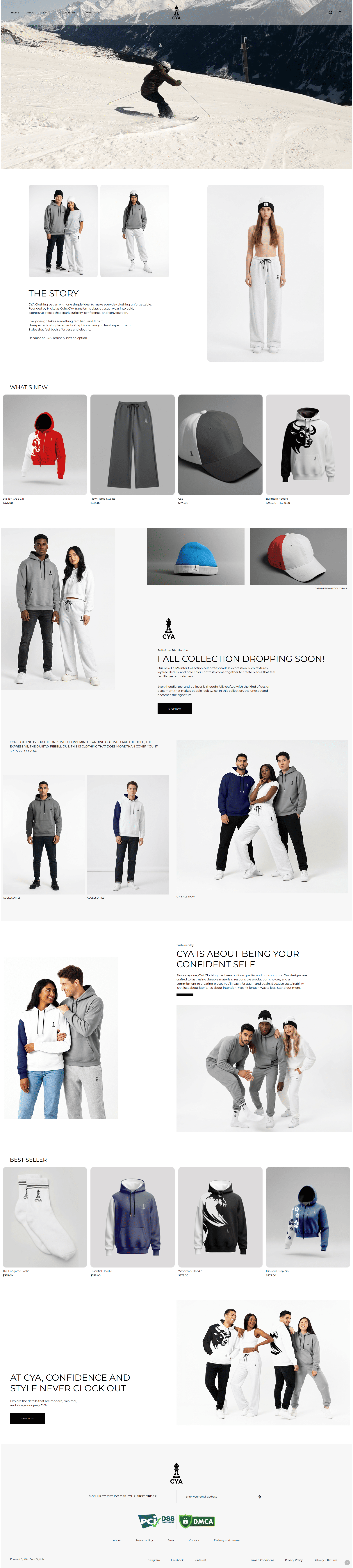 portfolio image